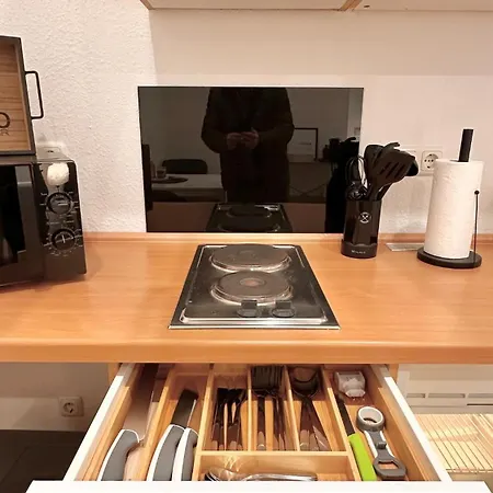 Bellahomes Apartments, Ground Floor, Aircondition, Private Parking, Airport 30 Min Erlensee