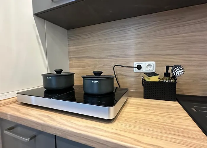 Bellahomes Apartments, Ground Floor, Aircondition, Private Parking, Airport 30 Min Daire Erlensee